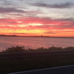 Meet your Posher, Charlotte